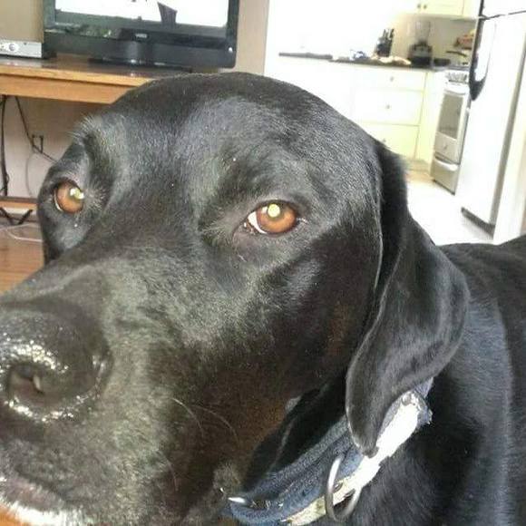 Meet your Posher, Cindy - Picture 1 of 1